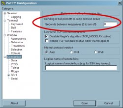 PuTTY Configuration dialog's Connection page