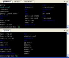 Multiple PuTTY Sessions in Panels